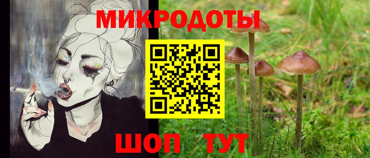 Галлюциногенные грибы мухоморы  Вход с VPN  где продают   Аргун 