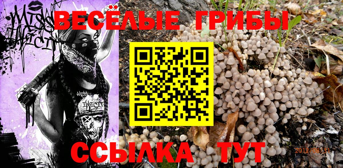 Псилоцибиновые грибы Magic Shrooms Аргун